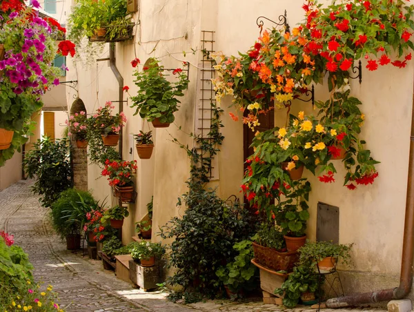 Middeleeuwse Straat Van Spello Versierd Met Bloemen Bloemenfestival Italië — Stockfoto