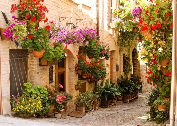 Medieval street of Spello decorated with flowers. Festival of flowers. Italy