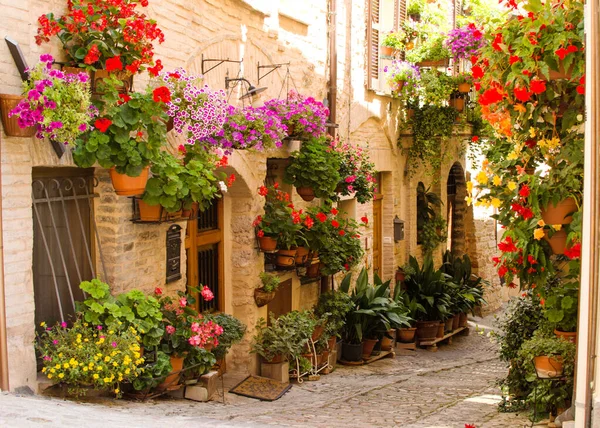 Middeleeuwse Straat Van Spello Versierd Met Bloemen Bloemenfestival Italië — Stockfoto