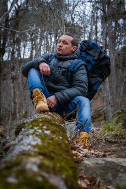 Gezgin, sık bir sonbahar ormanında yaşlı bir ağaçta oturur.