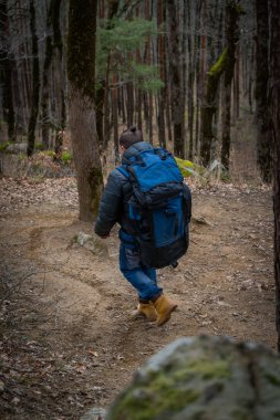 Derin sonbahar ormanlarında yalnız yürüyen bir adam.