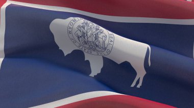 Usa eyaletinin bayrakları. Wyoming eyaleti bayrağı. 3d illüstrasyon.