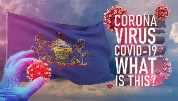Coronavirus COVID-19, Frequently Asked Question - What Is It text, medical concept with flag of the states of USA. State of New Hampshire flag 3D illustration.