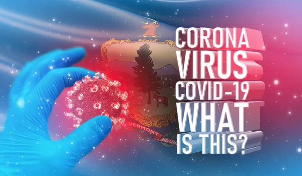 Coronavirus COVID-19, Întrebare adresată frecvent - Ce este textul, concept medical cu steagul Statelor Unite ale Americii. Starea steagului Vermont ilustrație 3D . — Fotografie, imagine de stoc