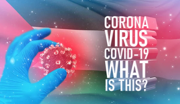 Coronavirus COVID-19, Frequently Asked Question - What Is It tekst, medisch concept met vlag van Palestina. Pandemische 3D illustratie. — Stockfoto