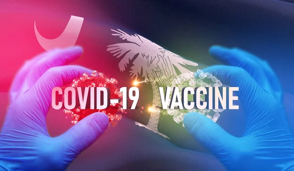 COVID-19 vaccino concetto medico con bandiera degli Stati Uniti d'America. Stato della Carolina del Sud bandiera 3D illustrazione . — Foto Stock