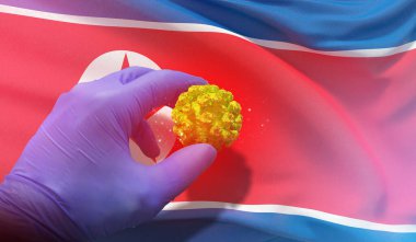 Coronavirus COVID-19 salgını, sağlığa zararlı virüs, Kuzey Kore 'nin bayrağını sallayan arka plan. Salgın durdurma Romanları Coronavirüs salgını covid-19 3D illüstrasyon.