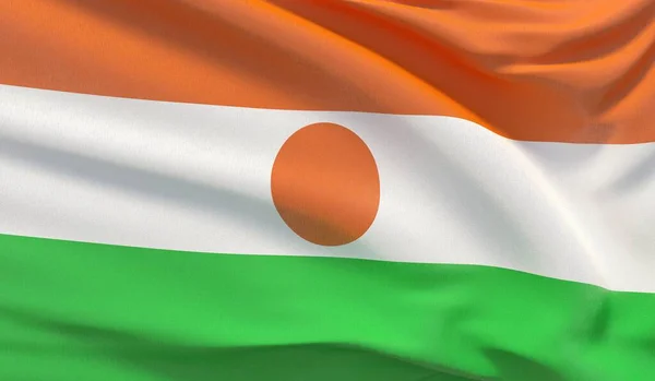 Ulusal Nijer bayrağı sallıyor. Son derece detaylı 3D görüntüleme dalgası. — Stok fotoğraf