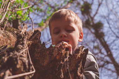 Tek başına gezen - bahar ormanlarında yürüyüş yapan genç bir çocuk, yeşil çimlerin üzerinde durup düşünceli bir şekilde uzaklara bakıyor.