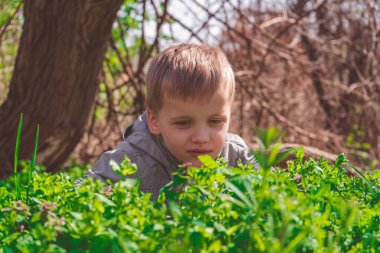 Tek başına gezen - otların arasında bir şeyler çalışan genç bir çocuk.