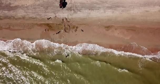 Top down view of waves breaking in the sand, flying over tropical sandy beach and waves — Stock Video