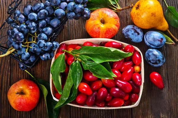 Autumn fruits harvest — Stock Photo, Image