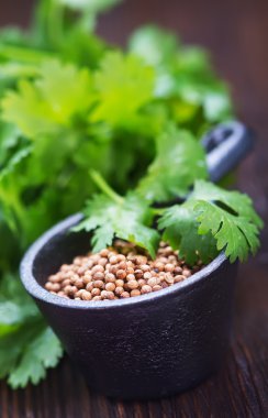 Coriandre yığın kase