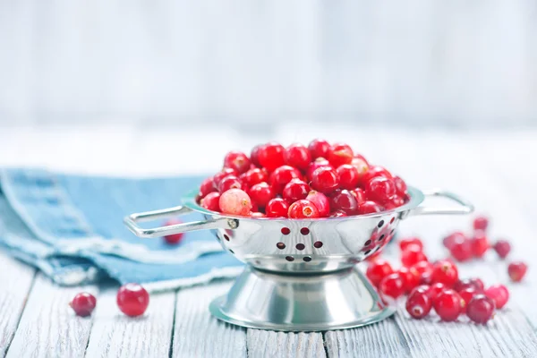 Cranberries στο μεταλλικό τόξο — Φωτογραφία Αρχείου
