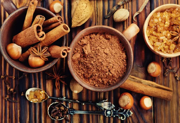 Cocoa powder and aroma spices — Stock Photo, Image