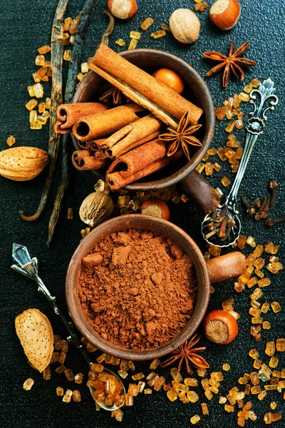 Cacao en polvo y especias aromáticas — Foto de Stock