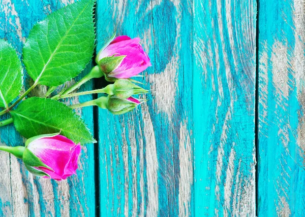 Paarse rozen op de houten tafel — Stockfoto