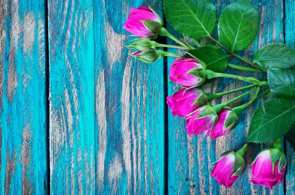 Purpurowe róże na drewnianym stole — Zdjęcie stockowe
