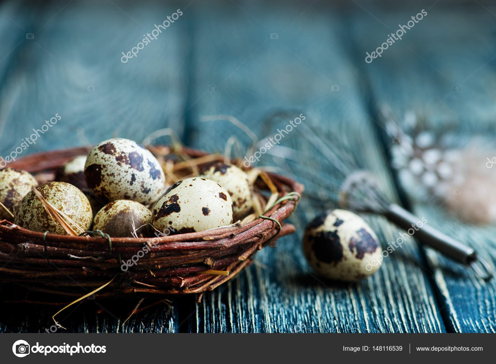 Quail eggs in nest — Stock Photo © tycoon #148116539