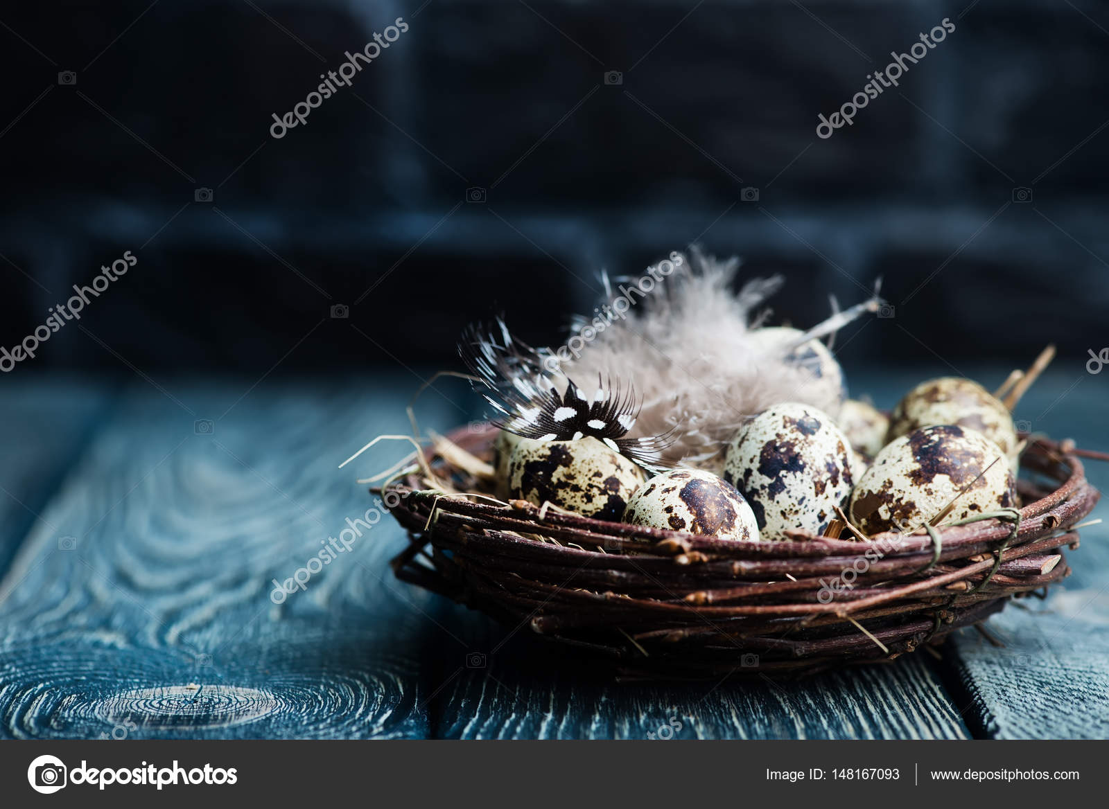 Quail eggs in nest — Stock Photo © tycoon #148167093