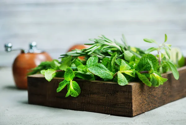 Herbs in wooden box — Stock Photo, Image