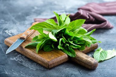 Taze nane yaprakları