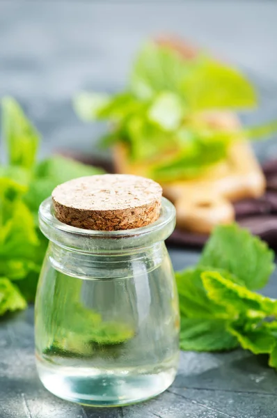 Olio di menta in bottiglia — Foto Stock