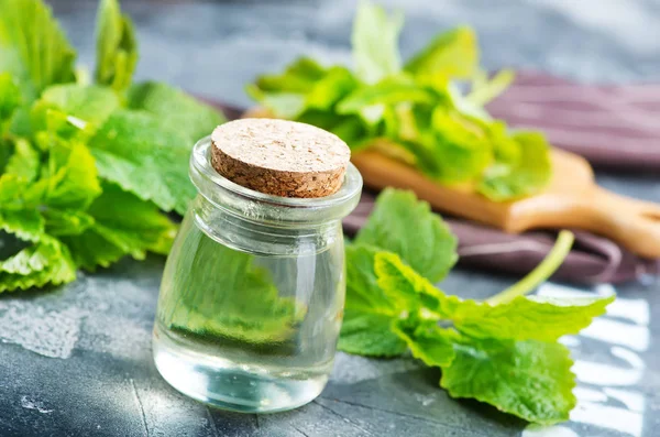 Aceite de menta en botella — Foto de Stock