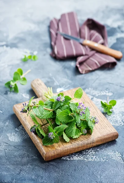 Aroma green herb — Stock Photo, Image