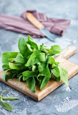 Taze yeşil adaçayı