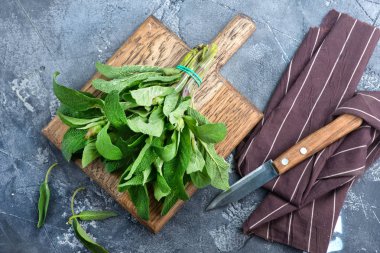 Taze yeşil adaçayı