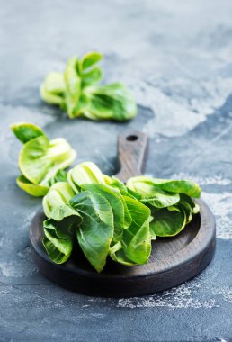 taze bok choi