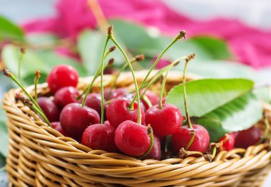 Sepette taze kirazlar