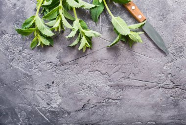 bıçak ile taze nane 