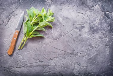 bıçak ile taze nane 