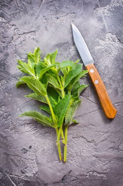 bıçak ile taze nane 