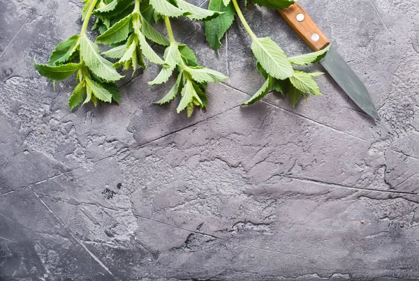 bıçak ile taze nane 