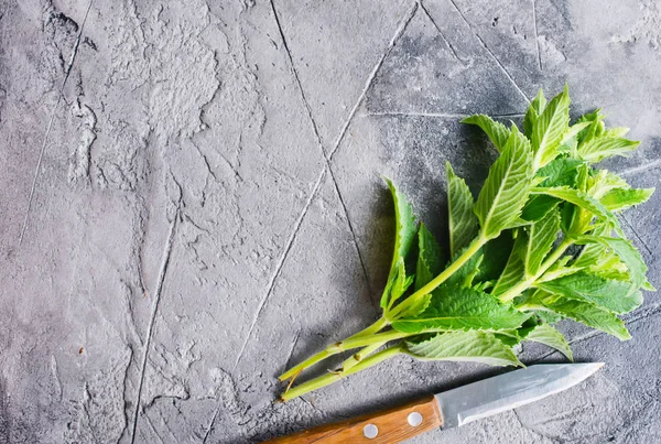 bıçak ile taze nane 