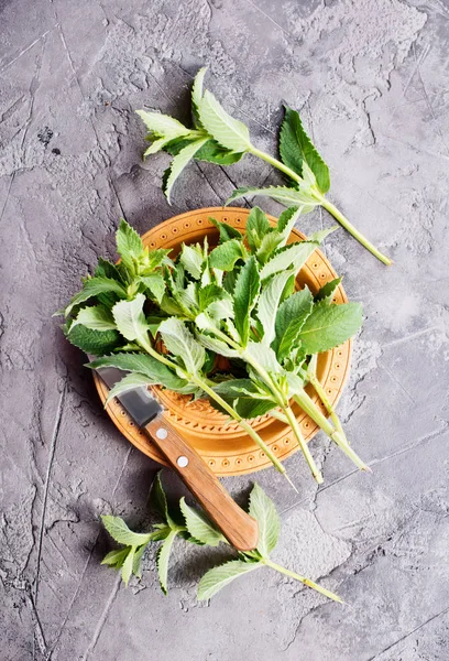 Fresh mint on brown plate — Stock Photo, Image