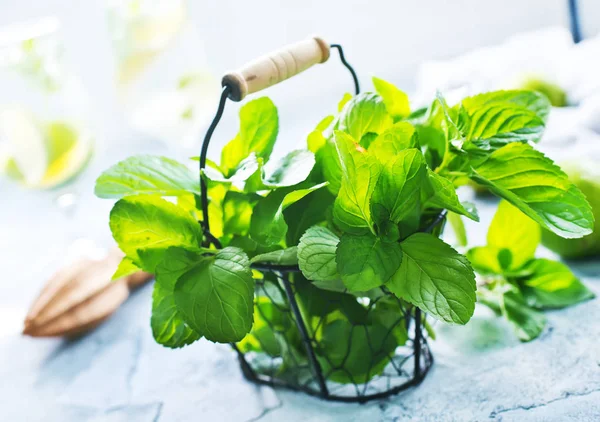 Mint, limes and squeezer — Stock Photo, Image