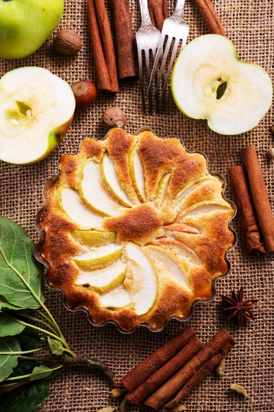 Домашний яблочный пирог — стоковое фото