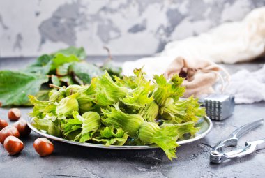 Masada yeşil fındık