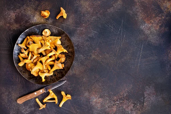 Gros plan des champignons sur la table — Photo