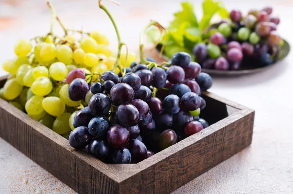 Черный и зеленый виноград — стоковое фото