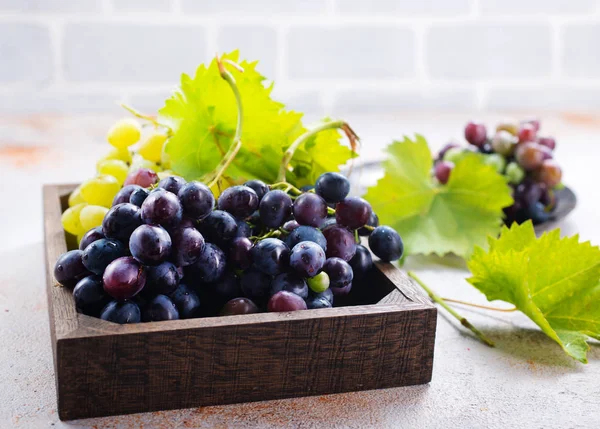 Czarny i zielony winogron — Zdjęcie stockowe