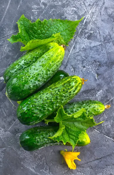 Verse komkommers op tafel — Stockfoto