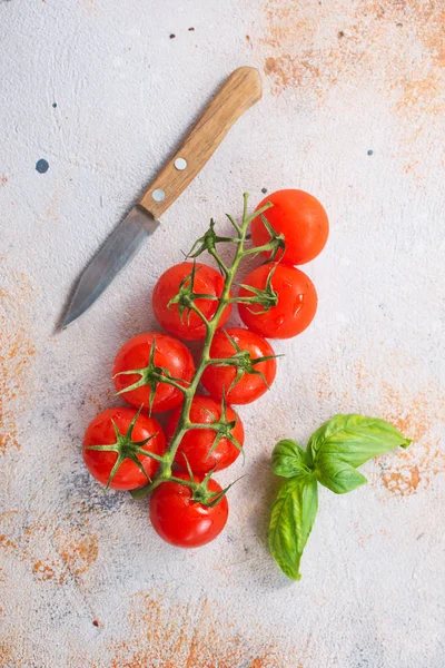 Rama con tomates maduros —  Fotos de Stock