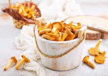 Cantharellus cibarius mantar