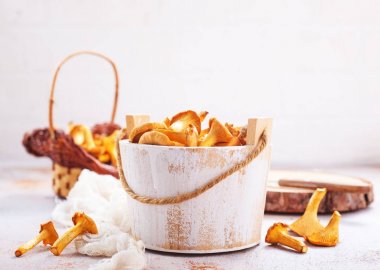 Cantharellus cibarius mantar