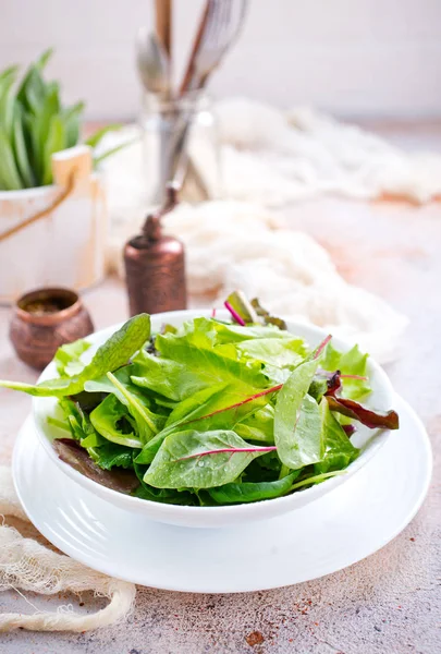 Marul ve kırmızı pazı salatası — Stok fotoğraf